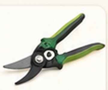 Pruning Shear