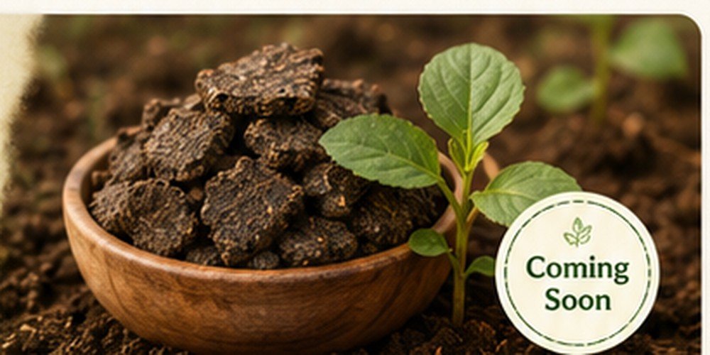 Sarso khali organic plant nutrition