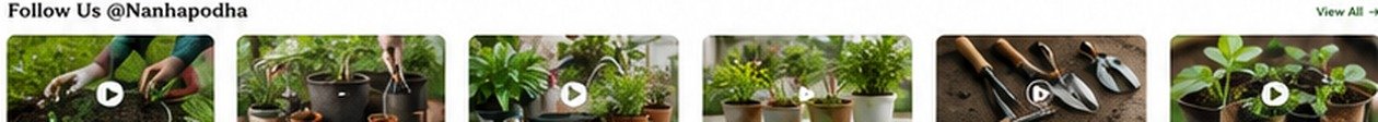 Nanhapodha gardening